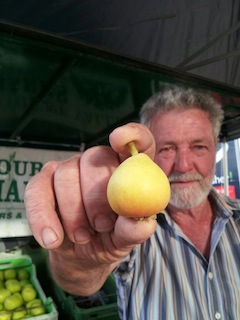 David Boag with his rare pear